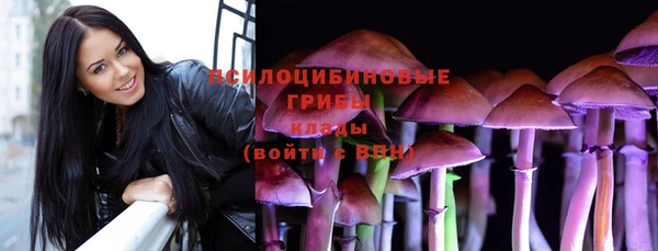 кристаллы Гусь-Хрустальный
