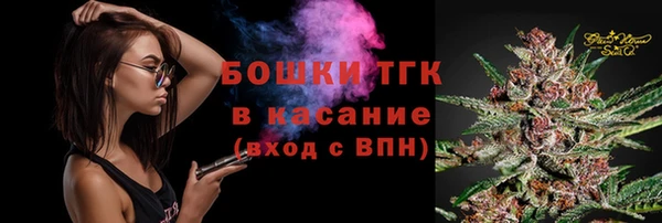 кристаллы Гусь-Хрустальный