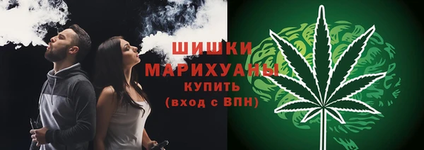 ПСИЛОЦИБИНОВЫЕ ГРИБЫ Гусиноозёрск