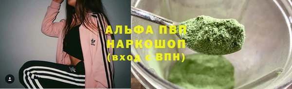 ПСИЛОЦИБИНОВЫЕ ГРИБЫ Гусиноозёрск