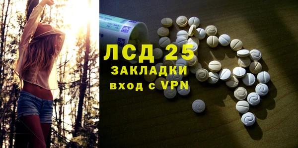 ПСИЛОЦИБИНОВЫЕ ГРИБЫ Гусиноозёрск