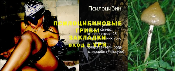 ПСИЛОЦИБИНОВЫЕ ГРИБЫ Гусиноозёрск