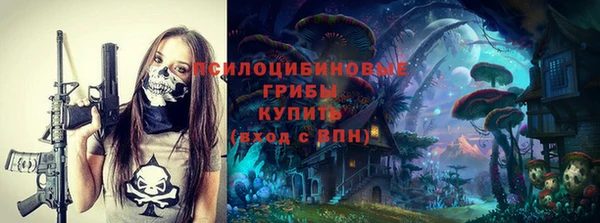 кристаллы Гусь-Хрустальный