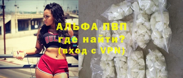 ПСИЛОЦИБИНОВЫЕ ГРИБЫ Гусиноозёрск