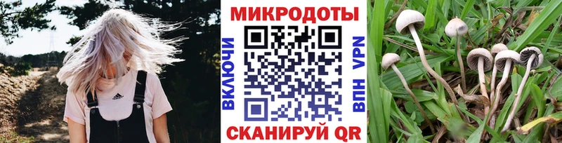 Купить где  Карачев  Галлюциногенные грибы прущие грибы 